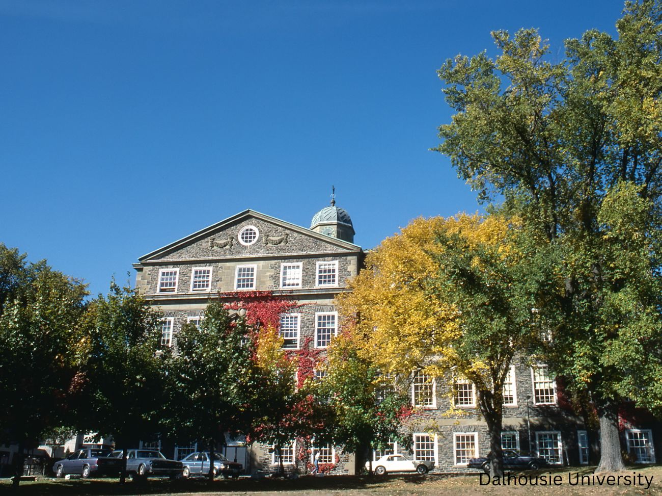 Dalhousie University